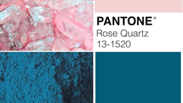 Team Pink or Team Blue?