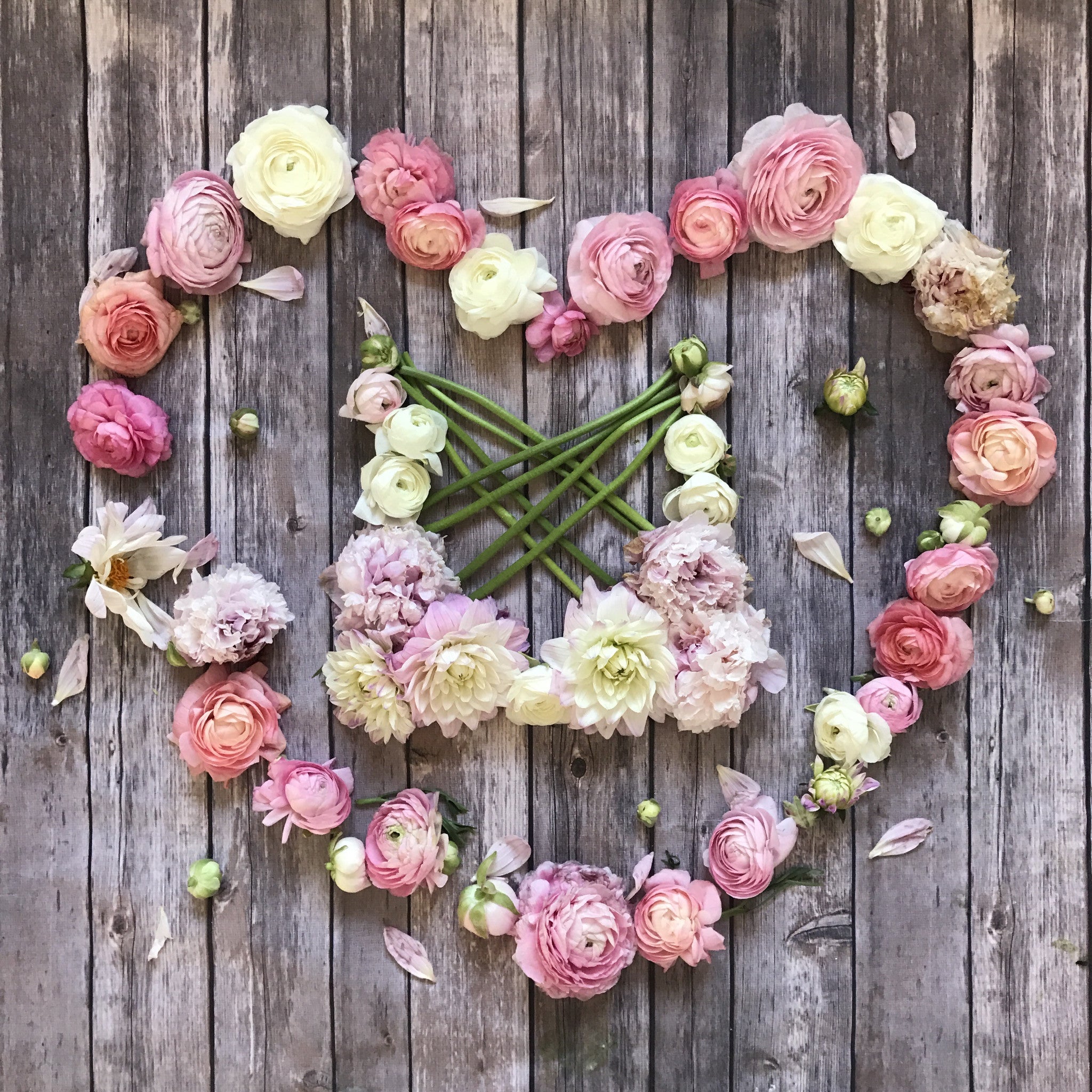 20% OFF Peony Collection!