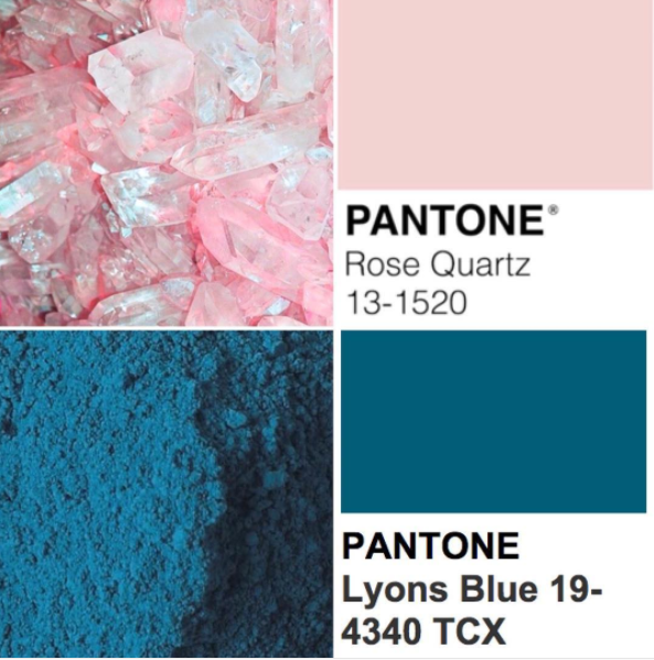 Team Pink or Team Blue?