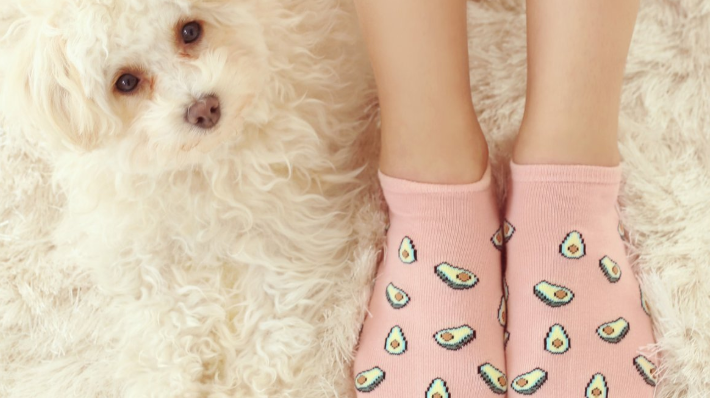 10 of the cutest avocado themed gifts on the internet!