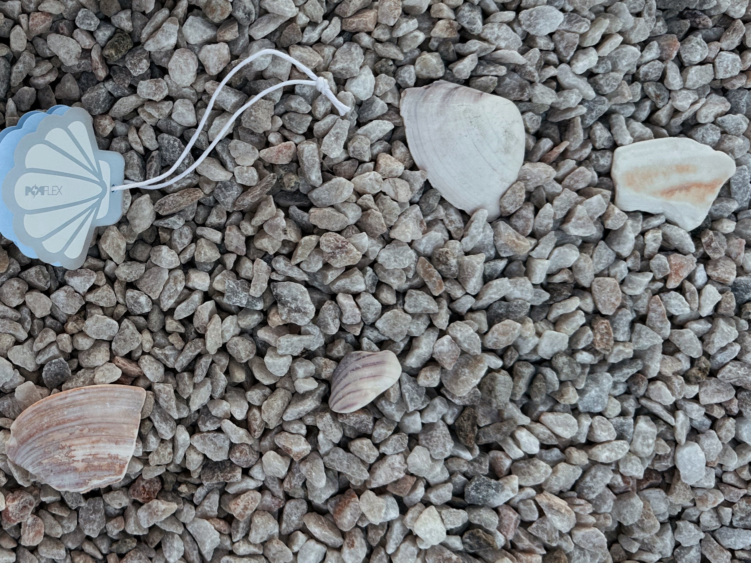 Take A Dip Into My First Ever Swim Collection!